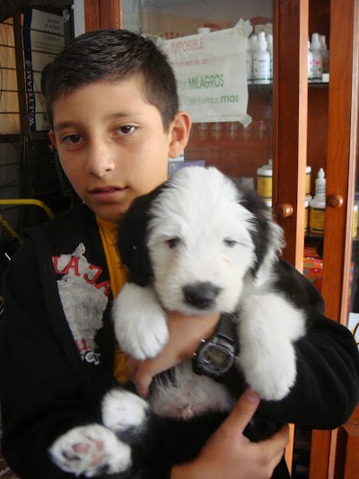 Photos of Ramses Veterinary Medical Clinic