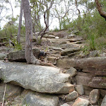 Rocky track east of the F3 bridge (348394)