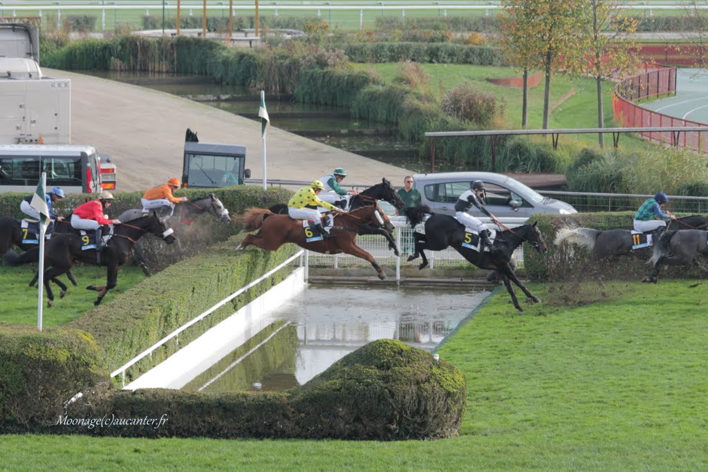 Photos Auteuil 8-11-2015 (48h de l'obstacle) IMG_6794