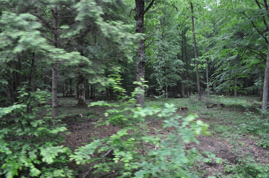 27-29 мая белорусская бойня