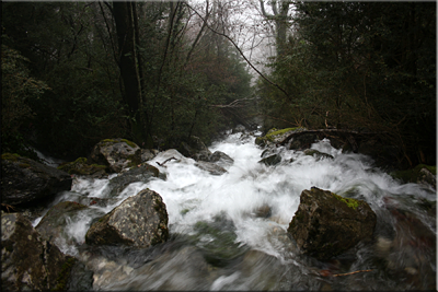 Cascada en la calzada romana sobre el barranco de la Boca del Infierno en la Selva de Oza (Huesca)