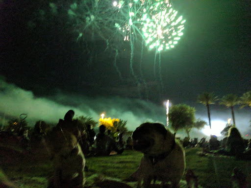 Park «Tumbleweed Park», reviews and photos, 745 E Germann Rd, Chandler, AZ 85286, USA