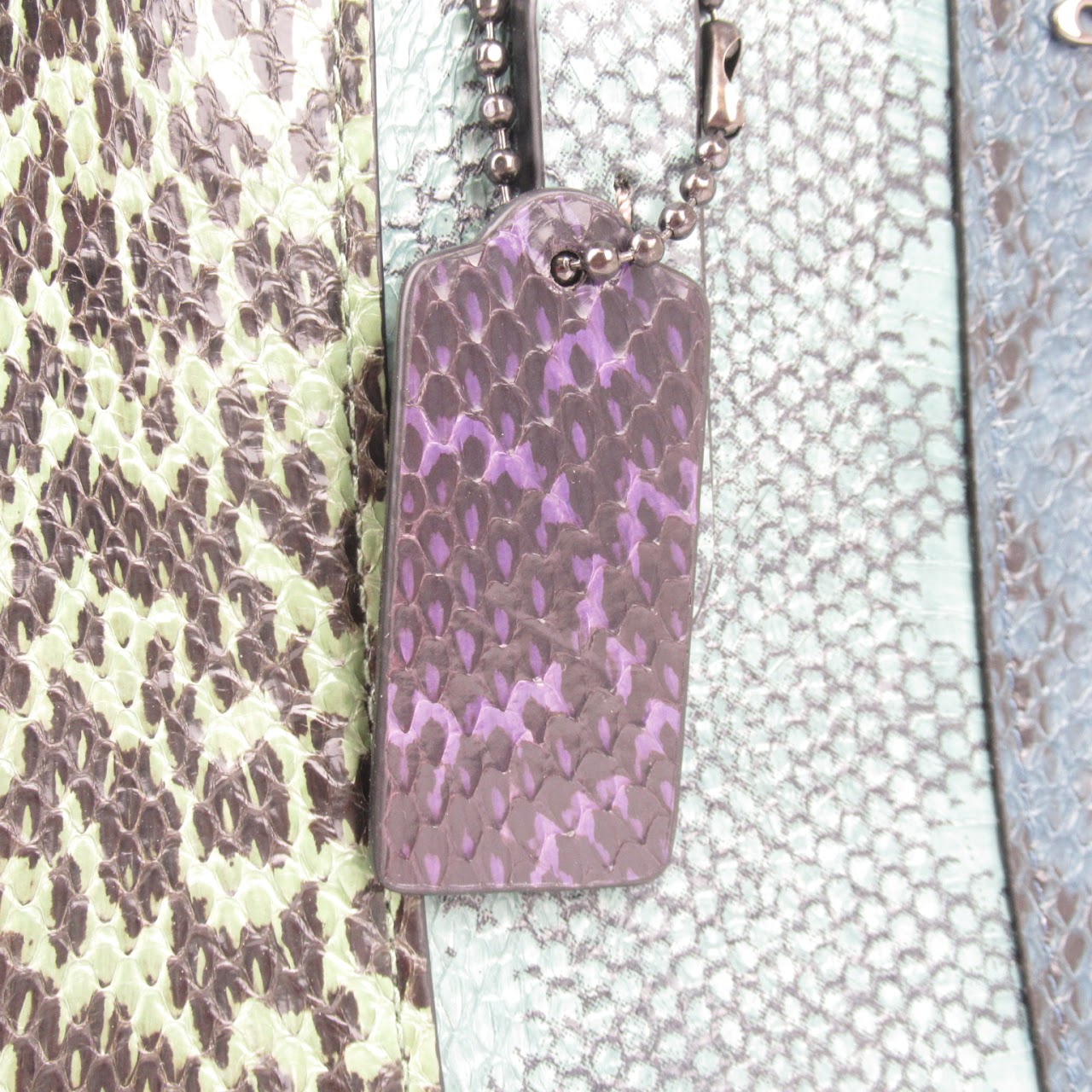 Coach Snakeskin Multicolor Handbag