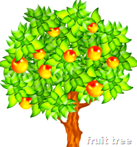 [fruit tree]