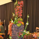 Taller tardor - DSC_0072.JPG