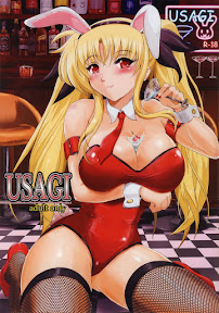 USAGI