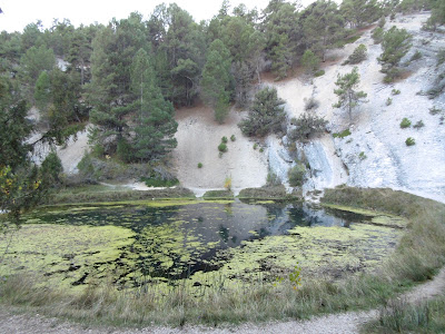 Los colores del otoño por tierras del Duero: Soria y alrededores con niños - Blogs de España - Ruta por los monumentos naturales (10)