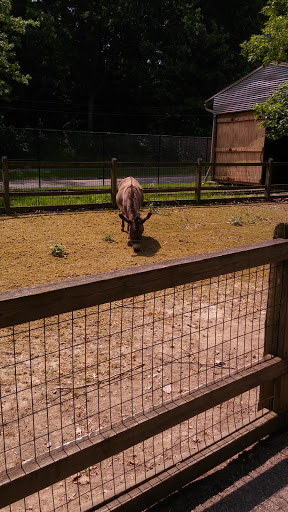 Tourist Attraction «Cleveland Zoo Train Station», reviews and photos, Wildlife Way, Cleveland, OH 44109, USA