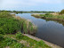 Rockland Broad from Short Dyke