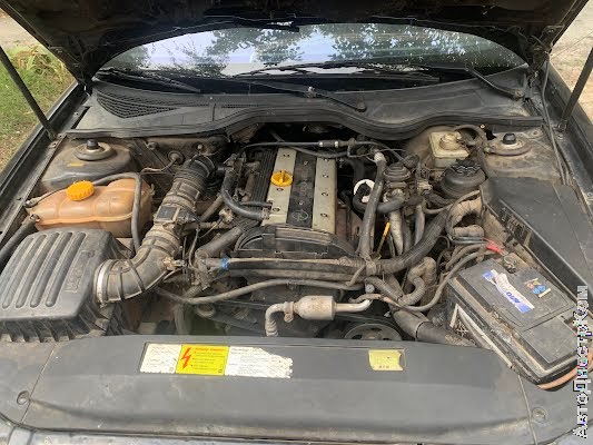 продам авто Opel Omega Omega B фото 4