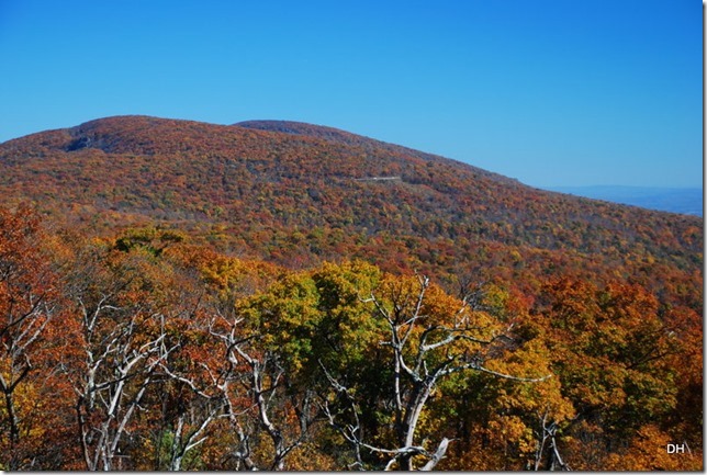 10-23-15 A Skyline Drive Shenandoah NP (200)