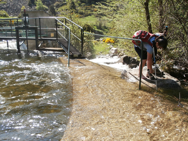 El borde de la presa, desbordado por el agua