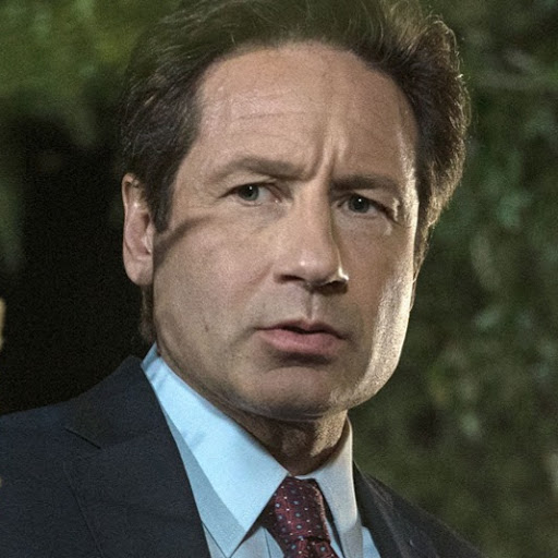 FoxMulder2014