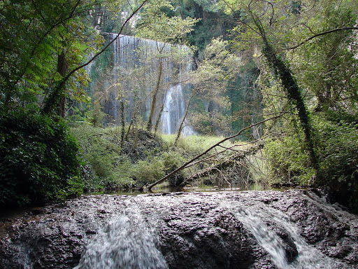 Monasterio de Piedra