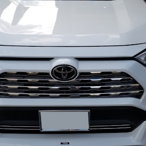 RAV4 MXAA54