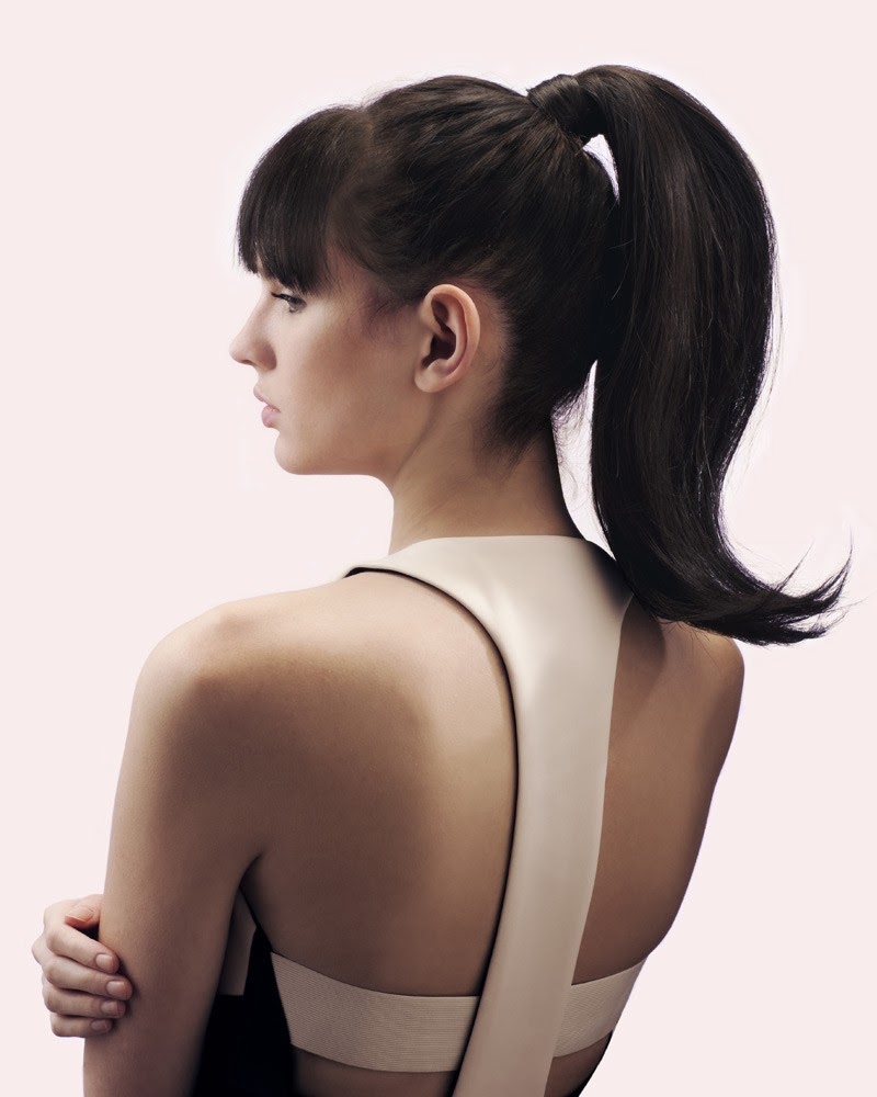 파일:external/1.bp.blogspot.com/ponytail_hair_extensions.jpg