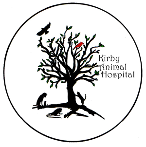 Animal Hospital «Kirby Animal Hospital», reviews and photos