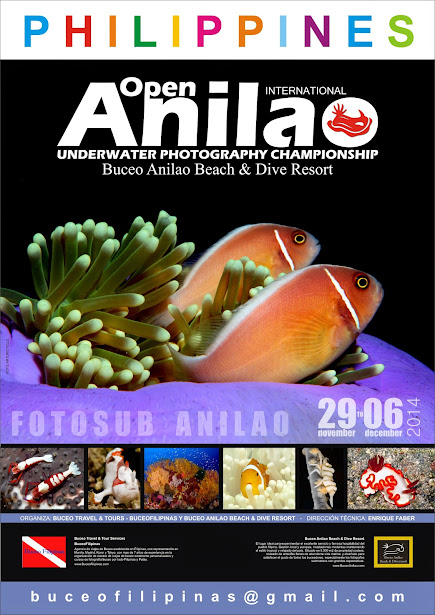 CARTEL-ANILAO-WEB+%25281%2529.jpg