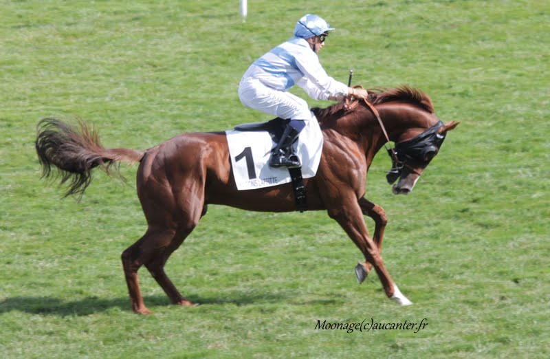 Photos Maisons-Laffitte 5-07-2015 IMG_2499