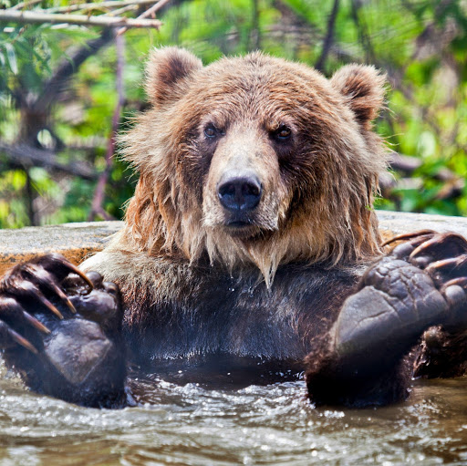 BC Wildlife Park