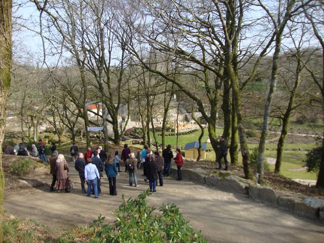 Sortie des Jonquilles - Calandre et Torpédo DSC04531