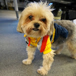 Jacob during Halloween at Climax Media in Etobicoke, Canada 