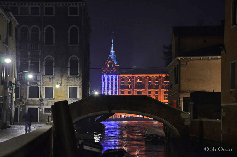 Alba_16_01_2012_N.8.jpg Alba 16 01 2012 N 8