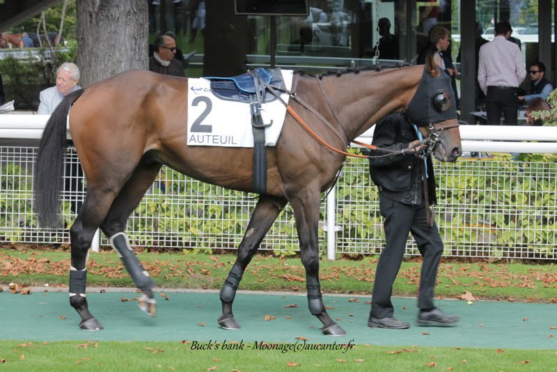 Photos Auteuil 26-09-2015 IMG_3970