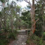 Footpath up to road (120079)