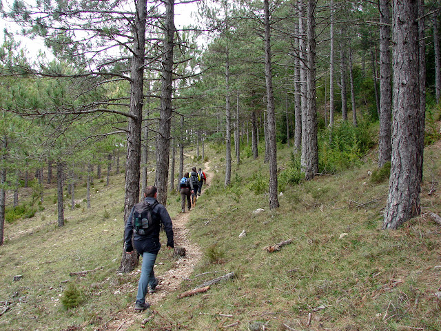 Senderismo - Coll de la Creu - Punta Boixet - Alt de la Coscollosa - Barranc de la Coscollosa