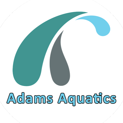 Adams Aquatics - Swimming lessons