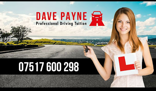 Dave Payne Approved Driving Instructor logo