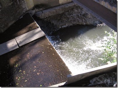 IMG_3851 Kellogg Creek Dam in Milwaukie, Oregon on September 27, 2008