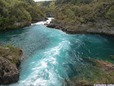 ROTORUA-TAUPO-HUKA FALLS - NUEVA ZELANDA EN AUTOCARAVANA. UN VIAJE DE ENSUEÑO (10)