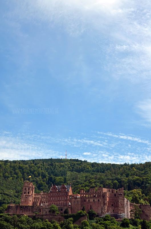 Geburtstagsausflug (31) nach Heidelberg