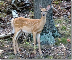 Curious youngun