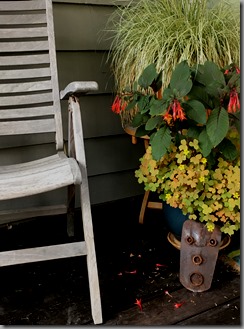 The Carex in the background doubles as a houseplant in the winter