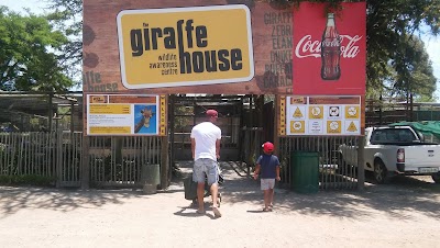Photos of Giraffe House
