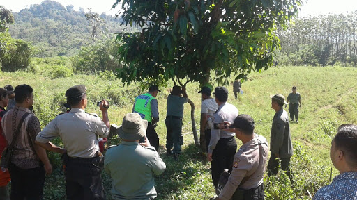 
Petani Warga Ciemas Sukabumi Menjerit, Tanamannya Ditebang BBKSDA
