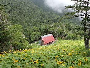 お花畑の下に小屋