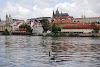 DSC_3437.JPG