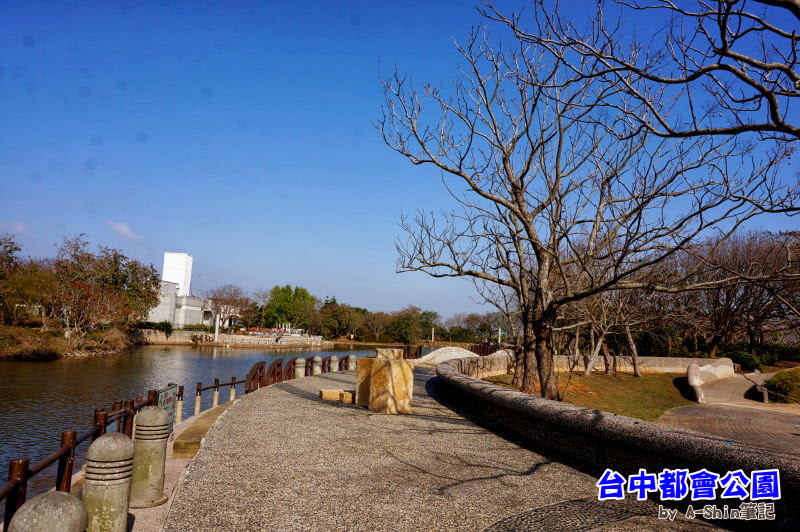 台中都會公園|走！跟阿新一起去台中都會公園踏青去~~這裡可是悠哉的很