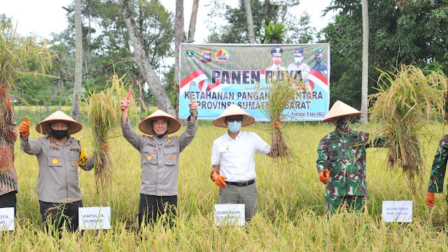 Panen Raya Serentak se Indonesia di Sungai Pisang, Ini Pesan Penting Gubernur Irwan.