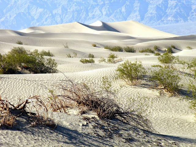 DIA-13 El Valle de la Muerte, un inhóspito pero atractivo infierno. - Los fascinantes parques del oeste americano. (17)