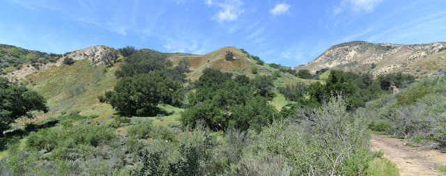 grassy hills