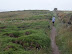 Path around Trevose Head