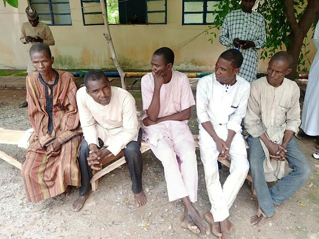 Five men arrested for sodomising 17-year-old boy in Katsina