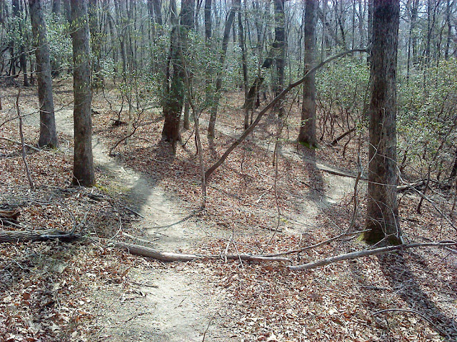 Inspiration Trail spur intersection with another spur