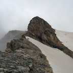 Bugarret
