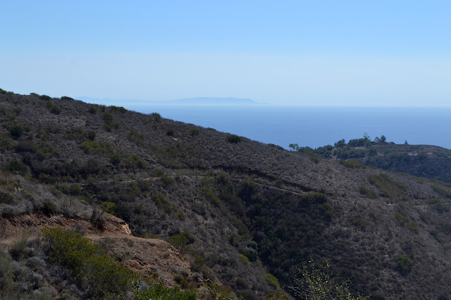 Catalina Island